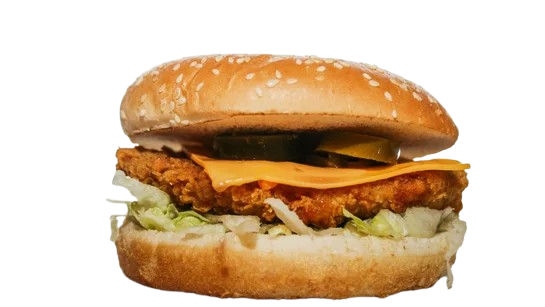 Crispy Chicken